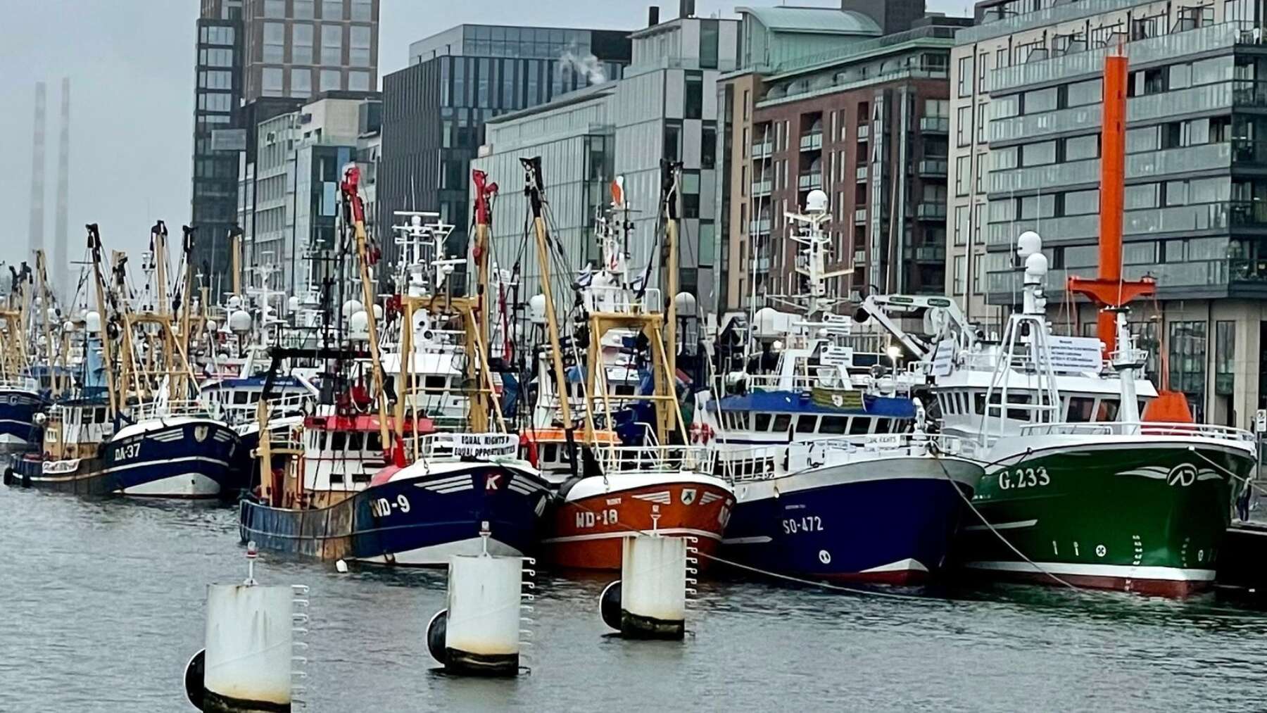 Fishing-Protest.jpg