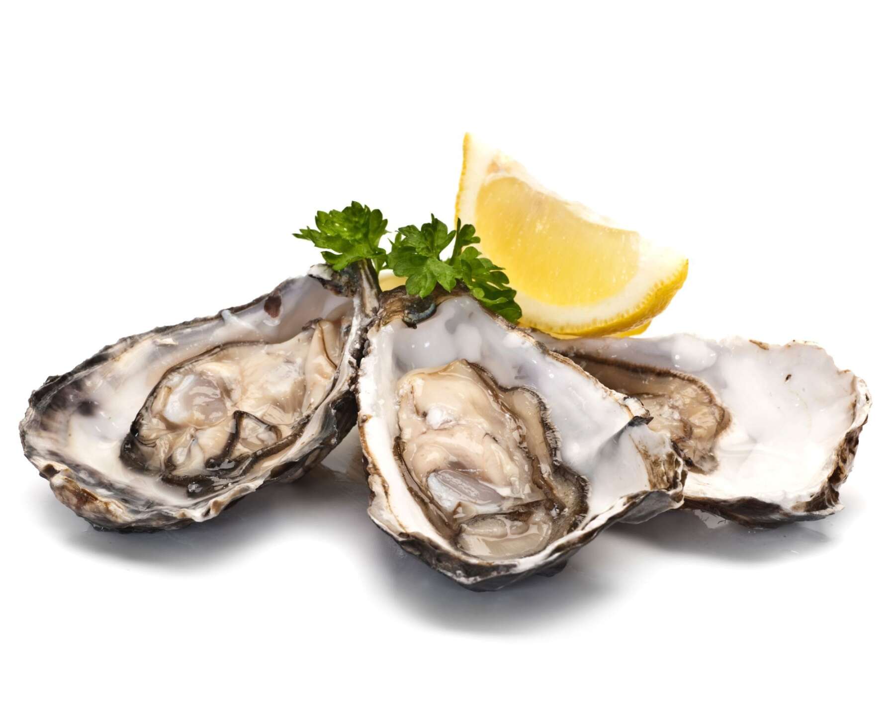 Oysters.jpg