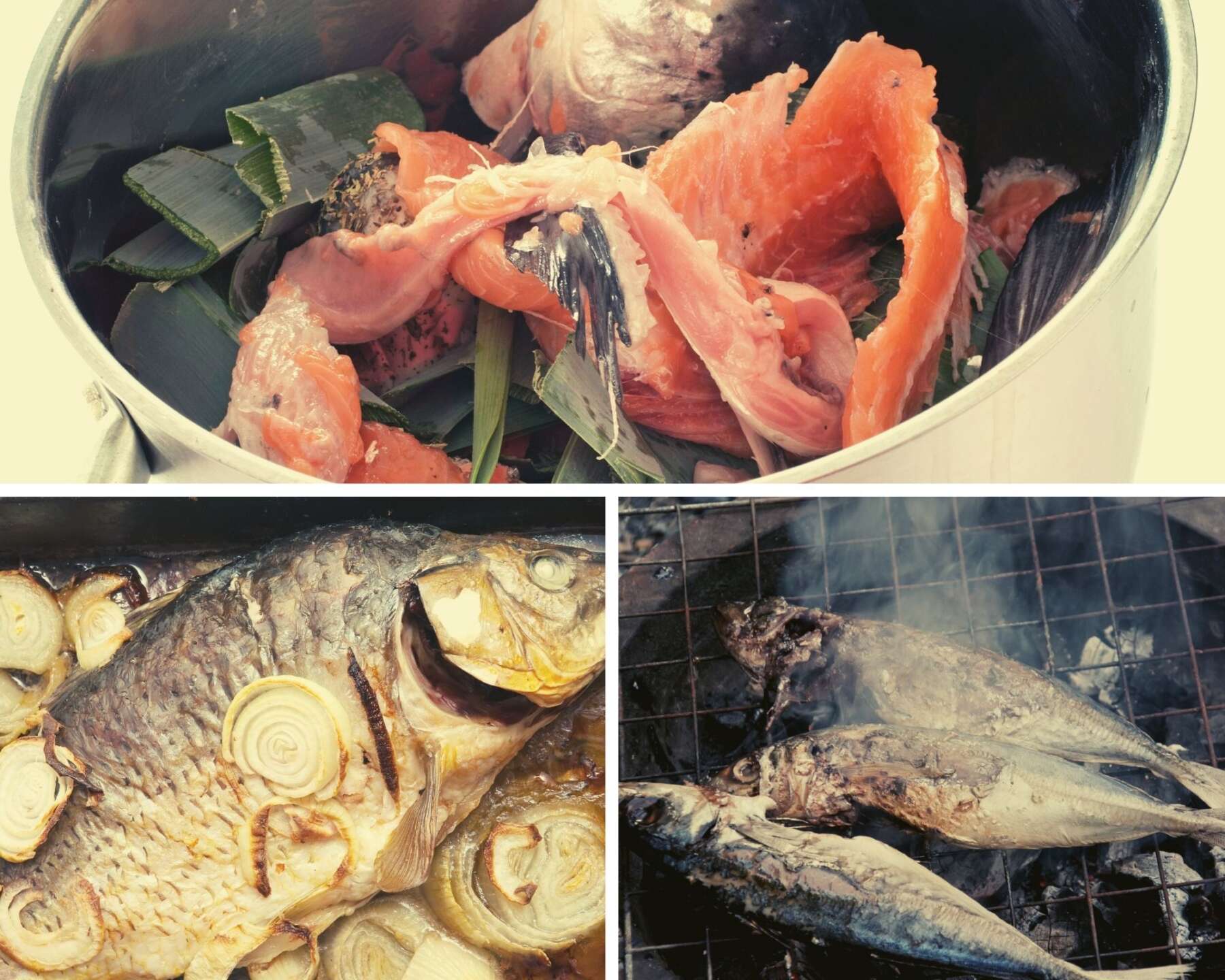Seafood-cooking-methods.jpg