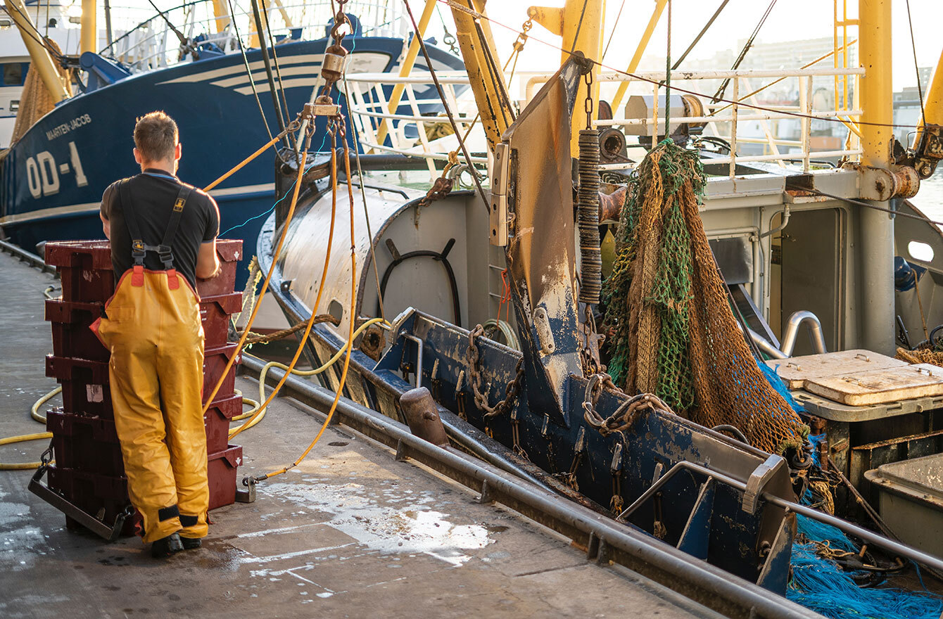 Did you know that oily fish also delivers Vitamin D?