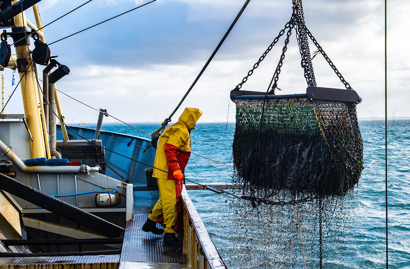 Our aim is to deliver exceptional seafood to our customers.