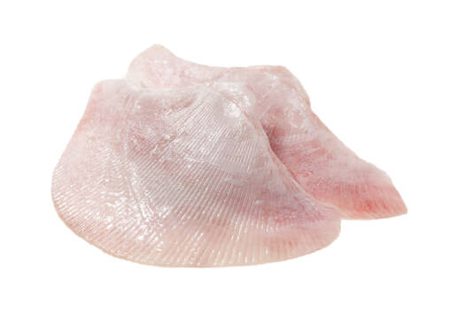 AT6002 Ray Wing Skinless