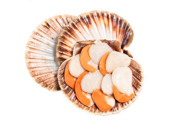 Wild Irish Scallops Off the Shell from Atlantis of Kilmore Quay