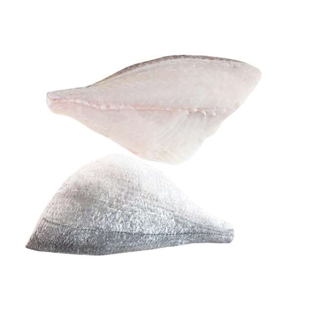 Fresh Sea Bream Fillets