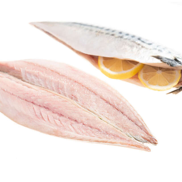 Fresh Wild Irish Mackerel Fillets