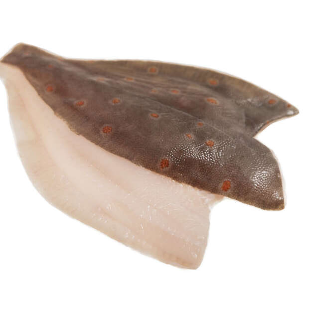 Fresh Wild Irish Plaice Fillets