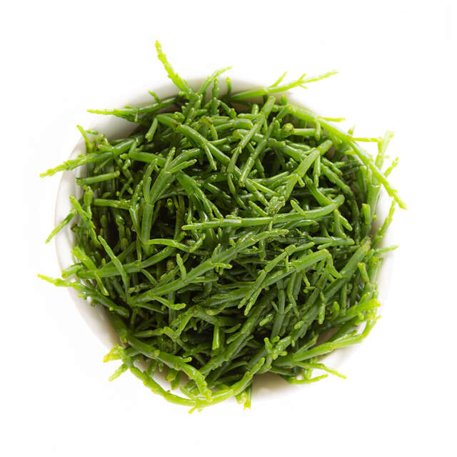 Samphire