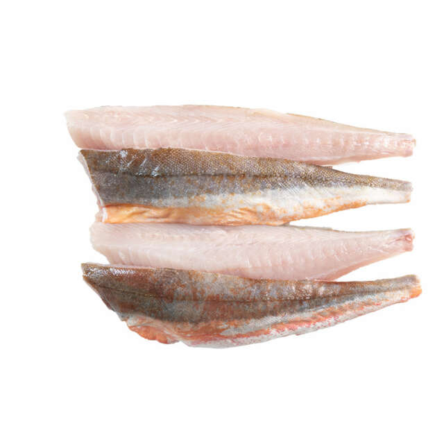 Fresh Wild Irish Red Gurnard Fillets